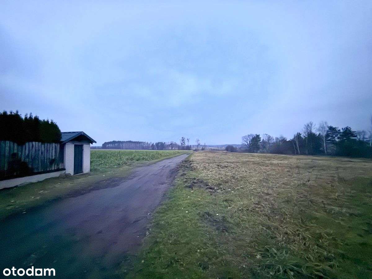 Okazja! Duża działka rolna w Borkowie 9802m2-10