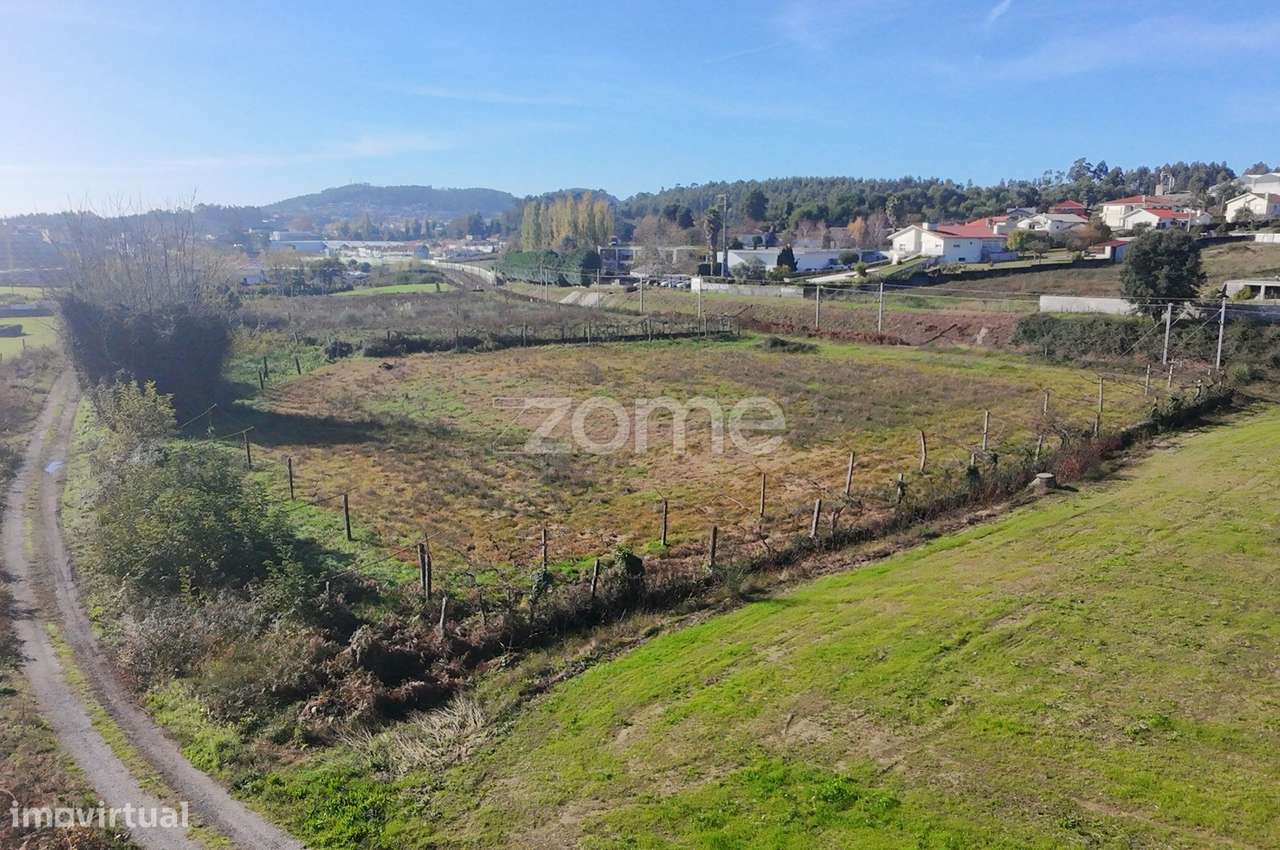 Terreno Rústico junto ao Talvaizinho - Grande imagem: 5/11