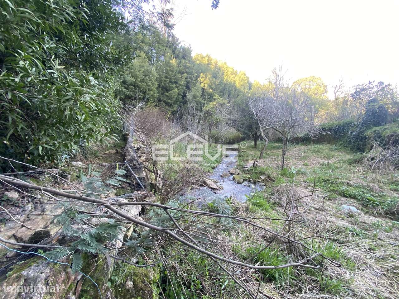 Casa de Campo em Venade-8