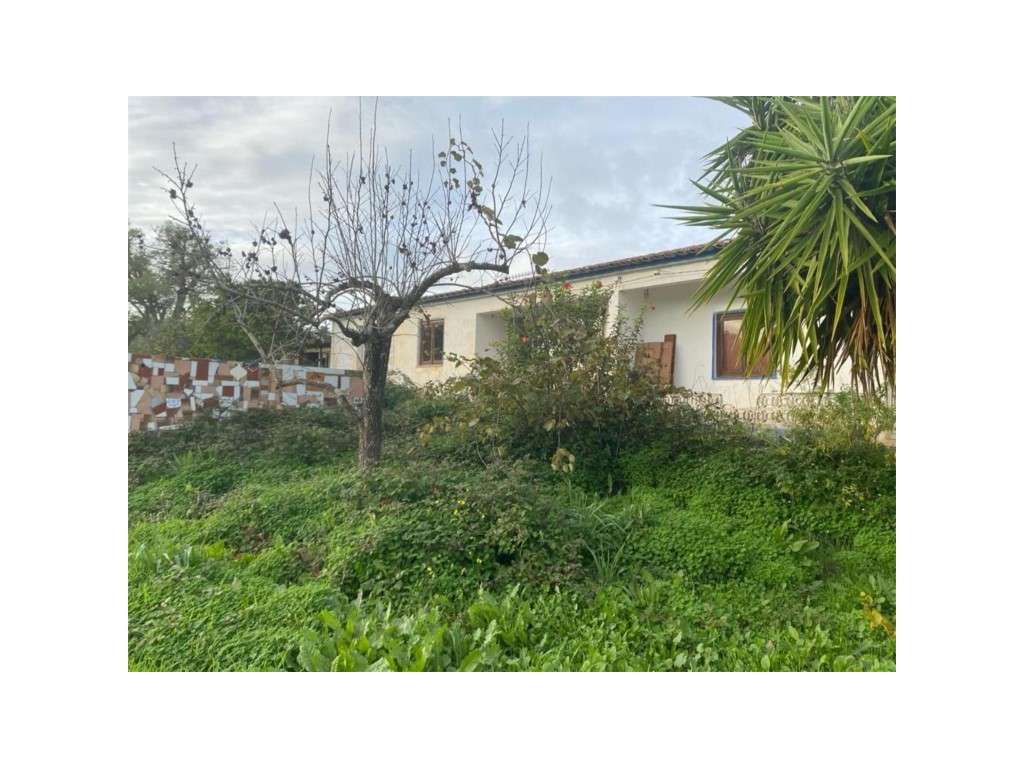EXCLUSIVO! Quinta com Enorme Potencial no Coração do Alentejo Um Re...-26