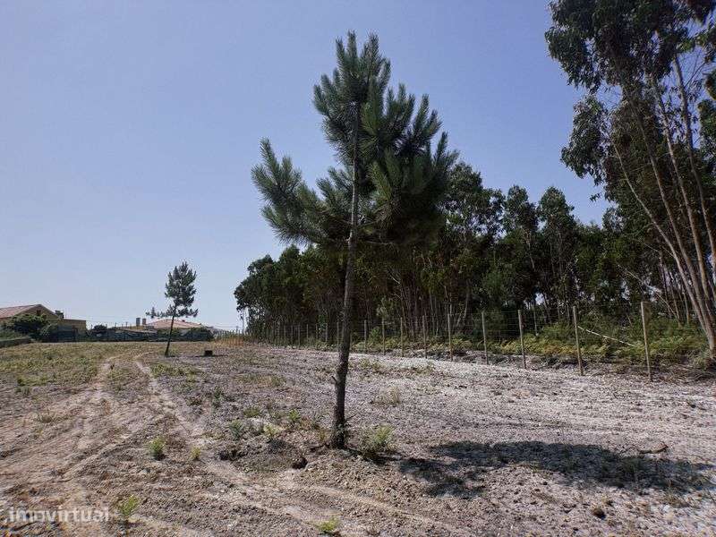 TERRENO para construção com PROJETO APROVADO - A 5min de SANTA CRUZ - Grande imagem: 5/12