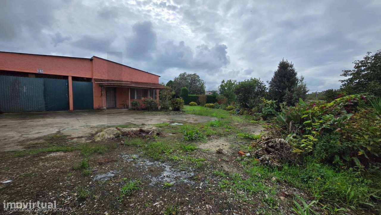 Moradia Gandaresa em  Rio Tinto ouca vagos com terreno e floresta-39