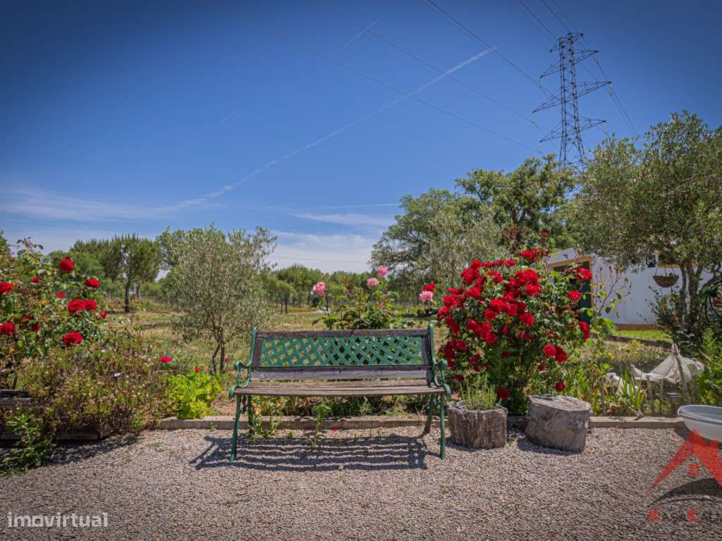 Herdade do Barranco-42