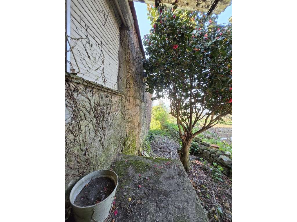 Oportunidade Única: Moradia em Pedra para Restauro com Quintal - Si...-15