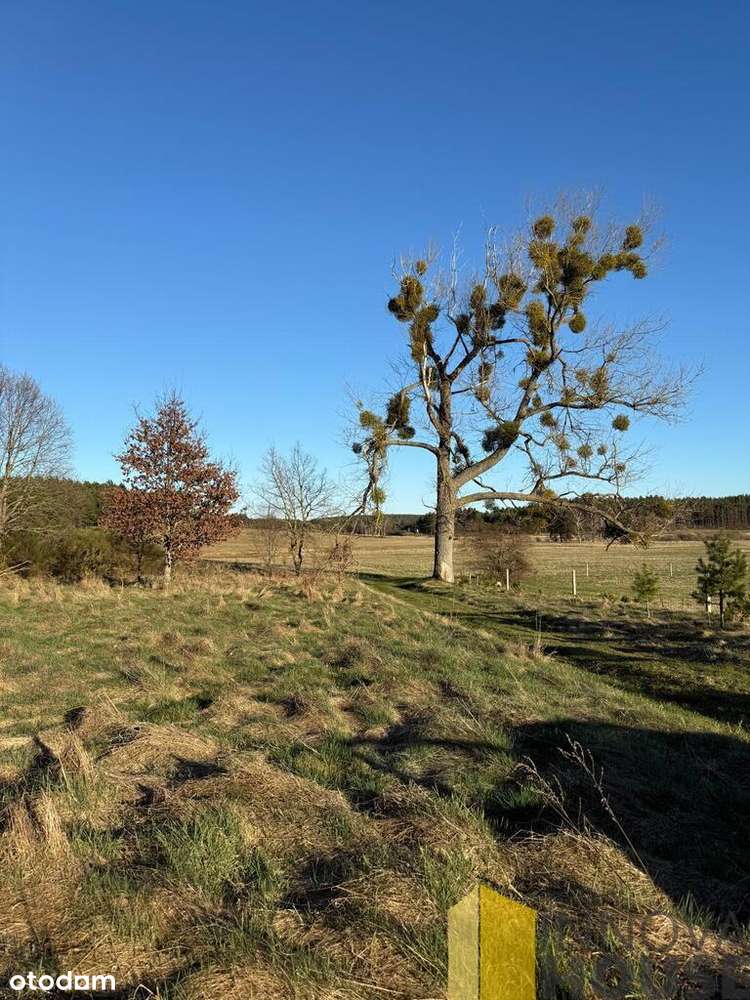 działka 1,3 ha Gardna Wielka - Pełny obrazek: 5/7