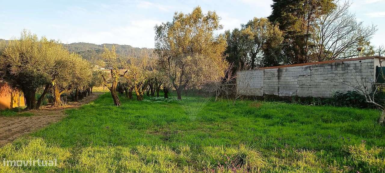 Terreno  para venda - Grande imagem: 5/12