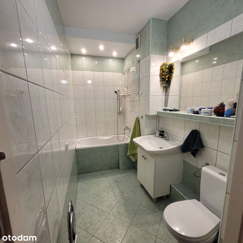 Mieszkanie 2 pokoje, rozkład, plomba, w ok. pl Bema-9