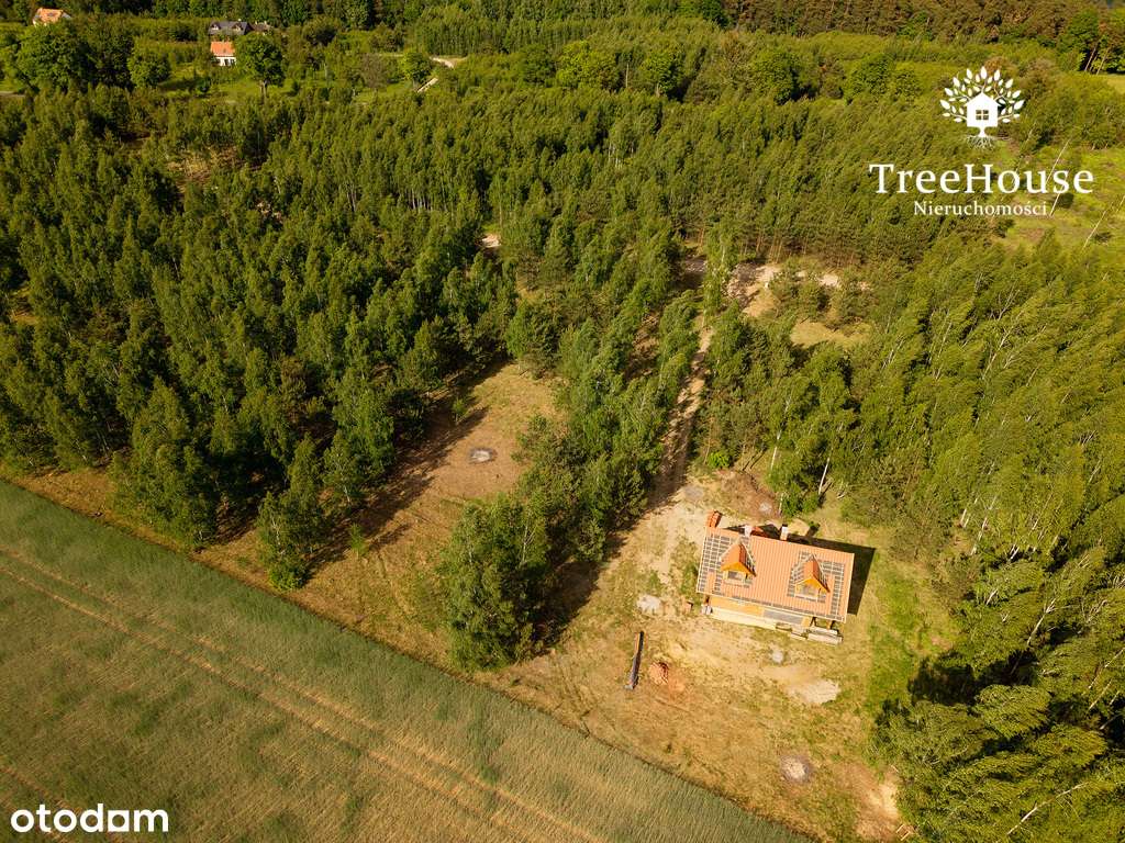 Mazury gotowy projekt las jezioro siedlisko-13