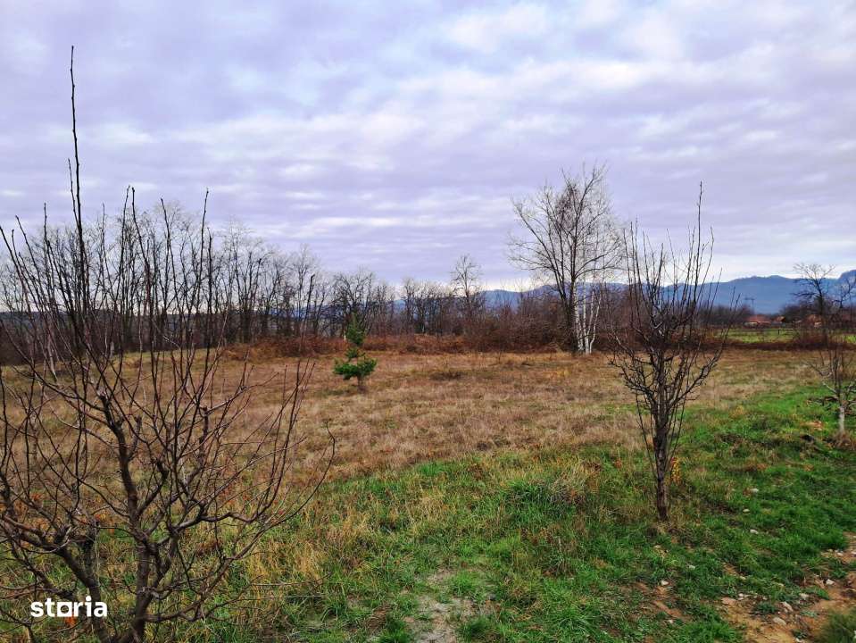 TEREN INTRAVILAN POLOVRAGI-7