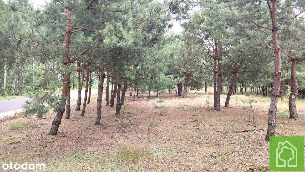 Działka, 1 008 m², Skudzawy - Pełny obrazek: 1/18