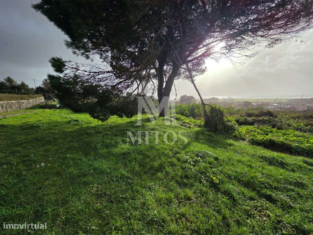 Terreno com projeto aprovado para venda em Areosa - Grande imagem: 4/15