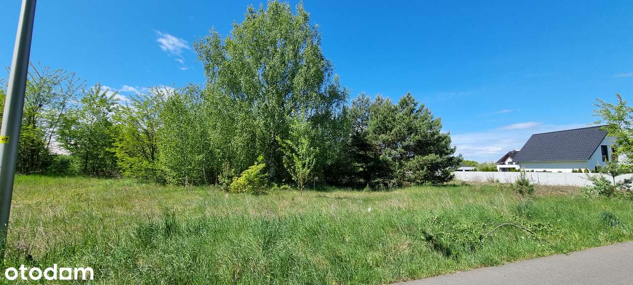 Piękna działka na Zielonych Wzgórzach - Pełny obrazek: 5/7