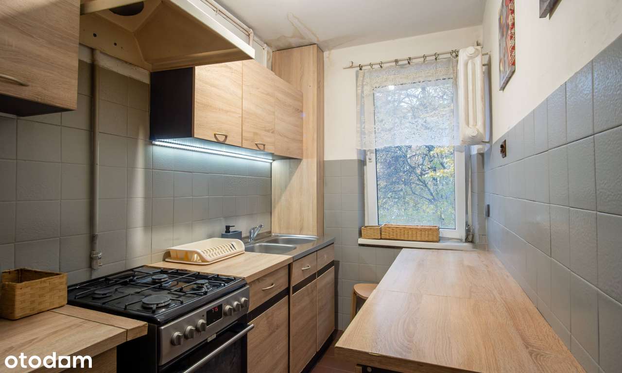 Mieszkanie w dobrej cenie. Do remontu. Cicha zielona okolica-2