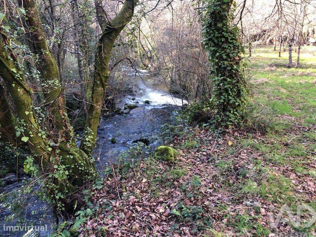 Terreno em Santa Cruz da Trapa e São Cristóvão de Lafões de 26728,00 m - Grande imagem: 4/30