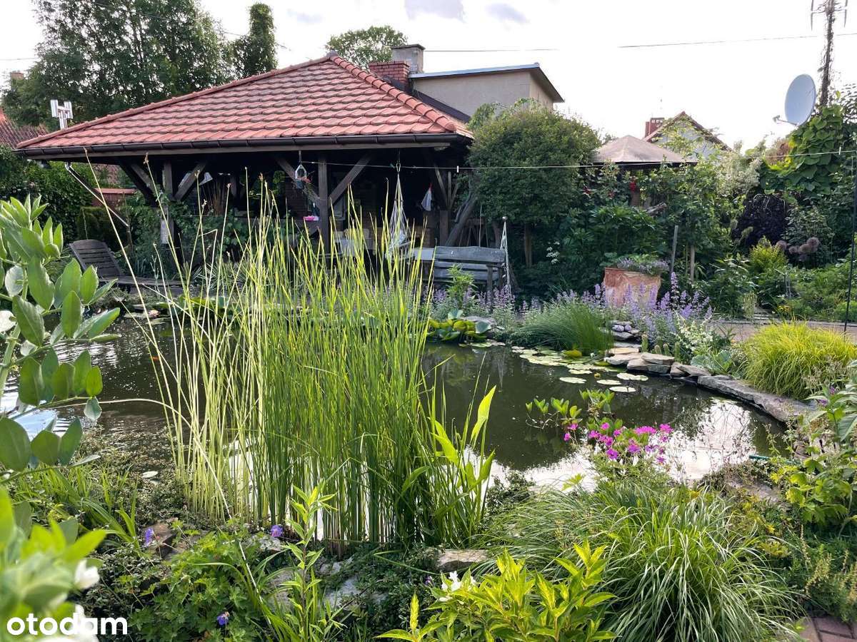 Dom wolnostojący Olsztyn Likusy ul.Bałtycka - Pełny obrazek: 3/19