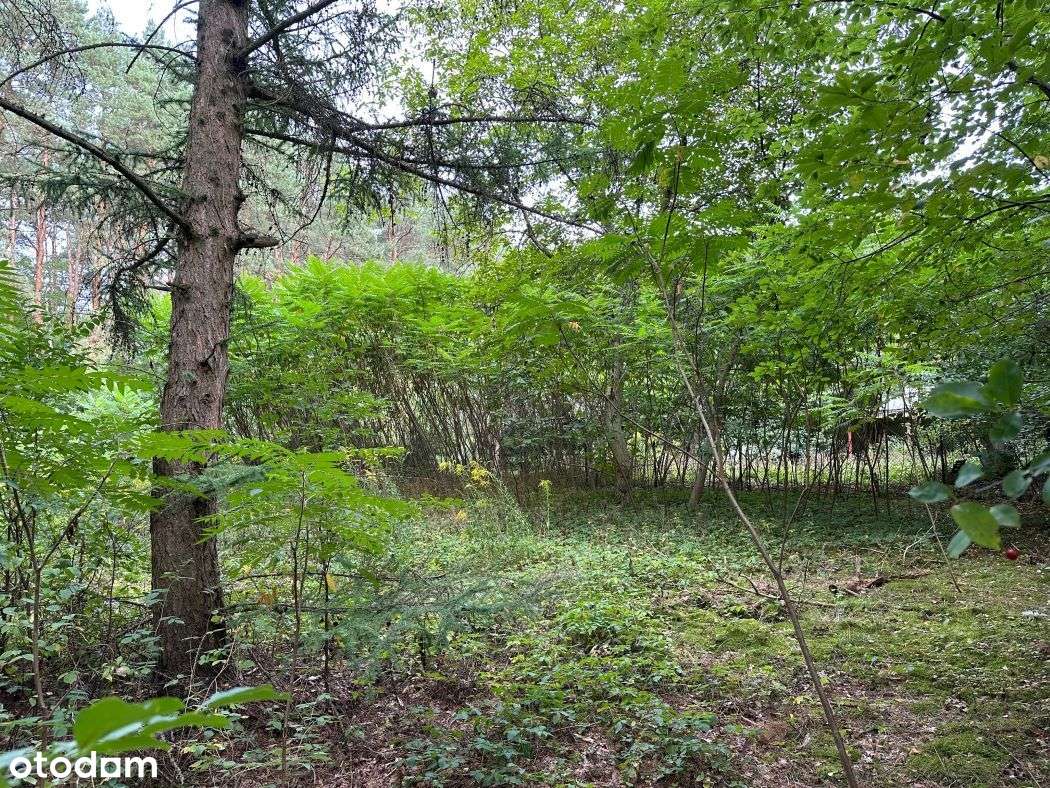 Budowlana wśród sosen blisko skm i POW 0% - Pełny obrazek: 4/5