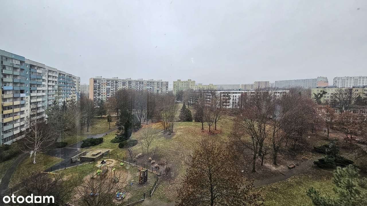 Zaspa, 2 pokoje z osobną kuchnią-12