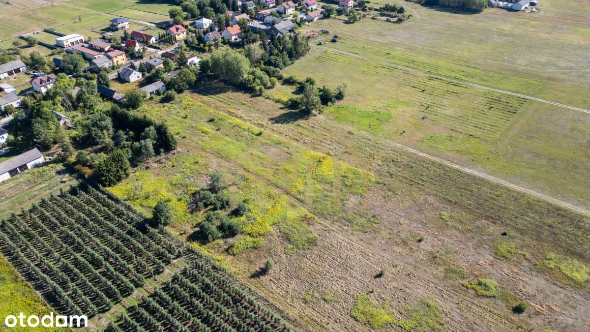 Działka po inwestycję/Czarny Las/Góra Kalwaria - Pełny obrazek: 5/16