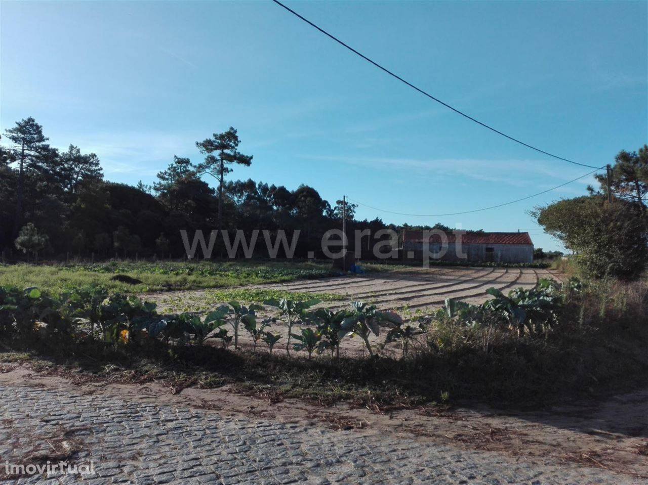 Terreno agrícola, Belinho, Esposende