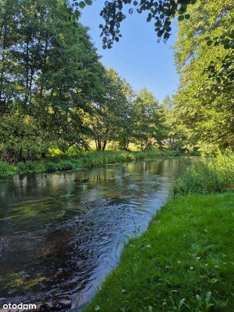 Dom z Bezpośrednim Dostępem do Rzeki - Pełny obrazek: 3/12