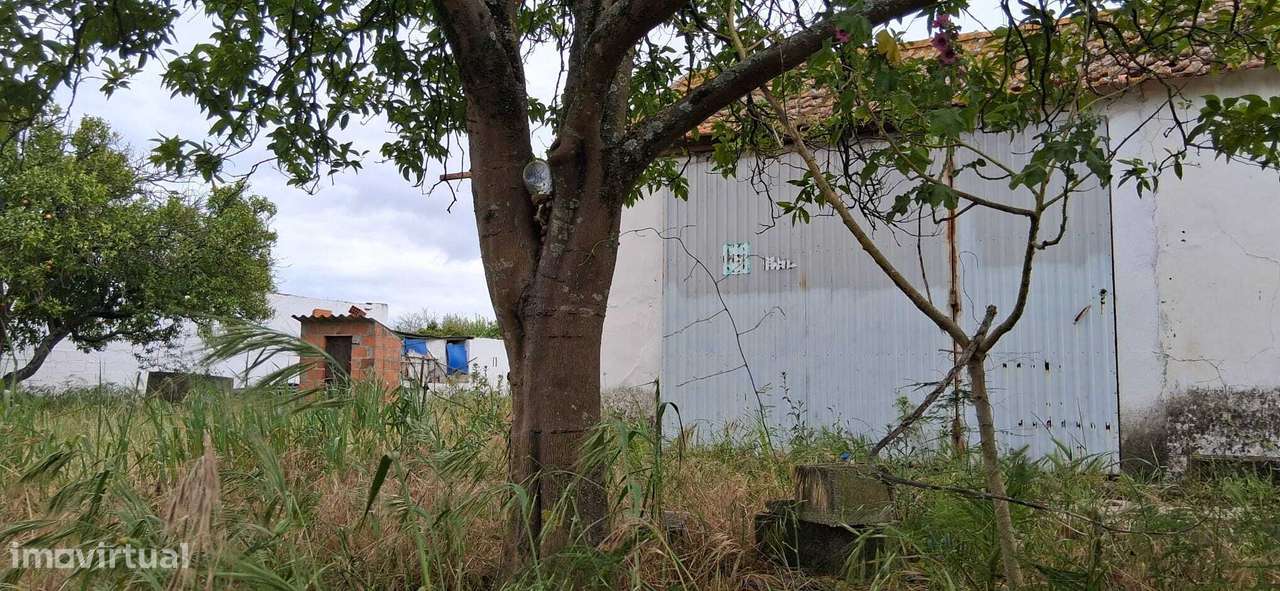 Lote Urbano 698 m2  - Almeirim - Fazendas de Almeirim-5