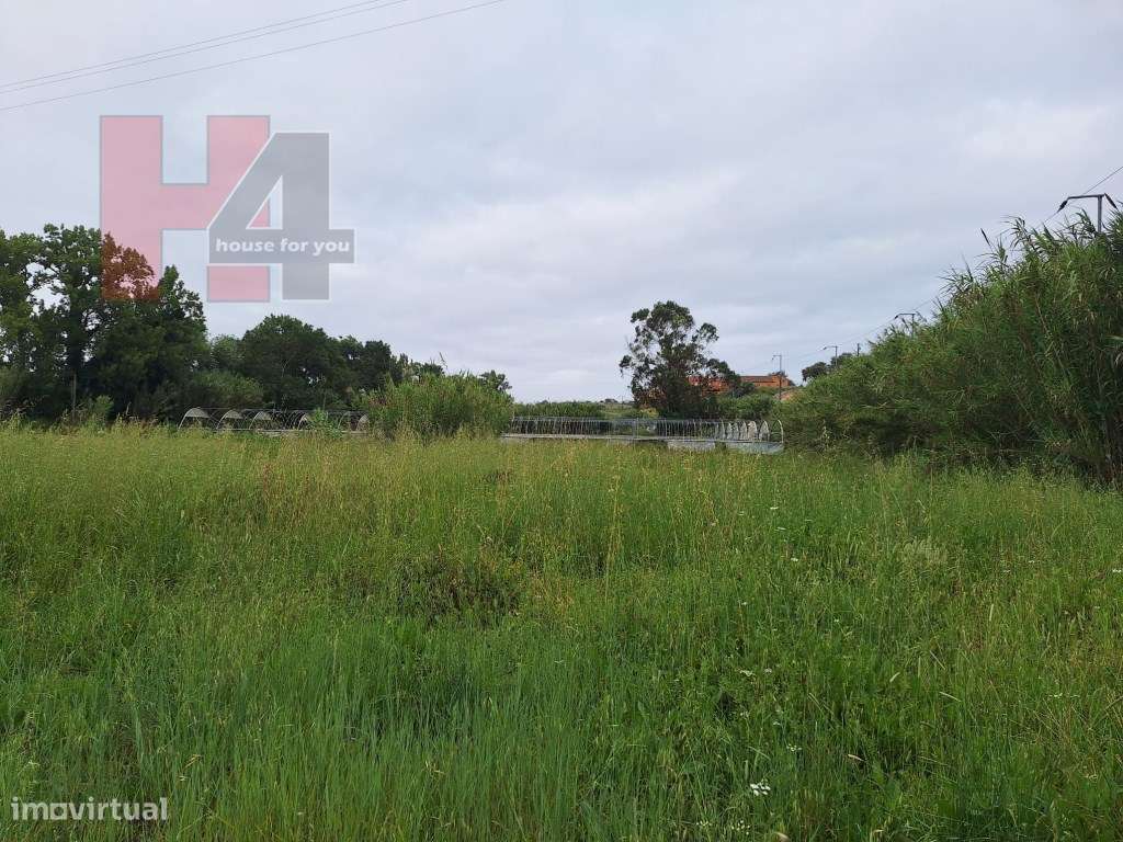 Terreno Rústico Plano com 15.560 m², 3 Poços e Eletricidade - Sapat...-11