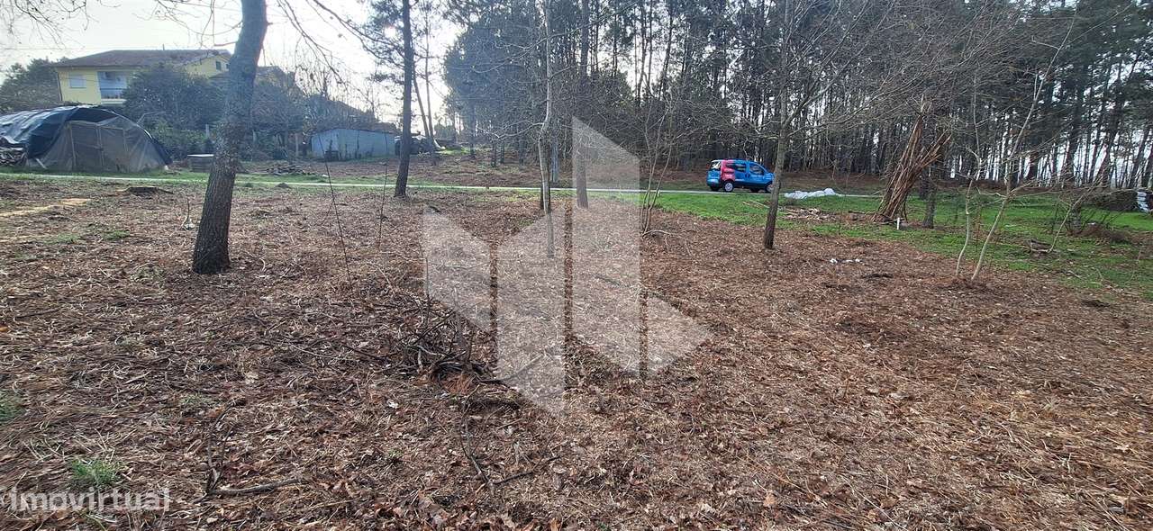 Terreno Para Construção  Venda em São Miguel do Outeiro e Sabugosa,Ton - Grande imagem: 4/12