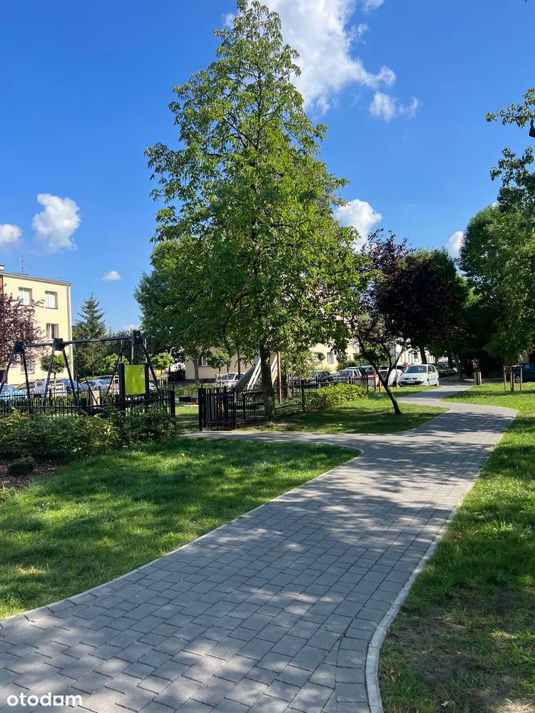 Mieszkanie  2 pokoje, 43 m2 , piętro 1, po remoncie-9