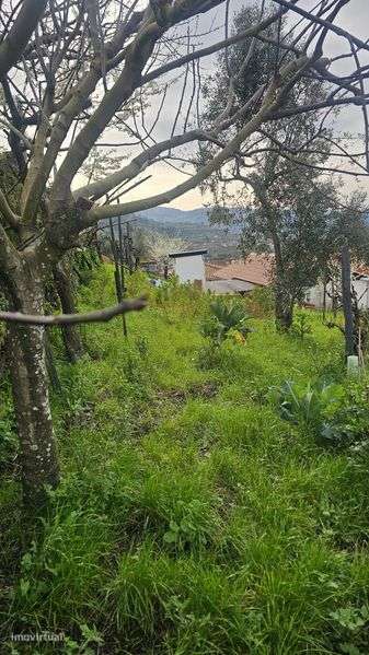 Vivenda com pequeno quintal - Grande imagem: 4/6