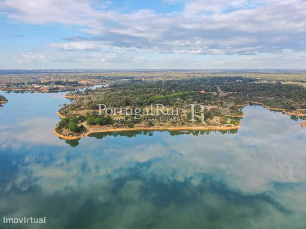 Quinta de 5 hectares, com 2 moradias e piscina - Grande imagem: 5/51