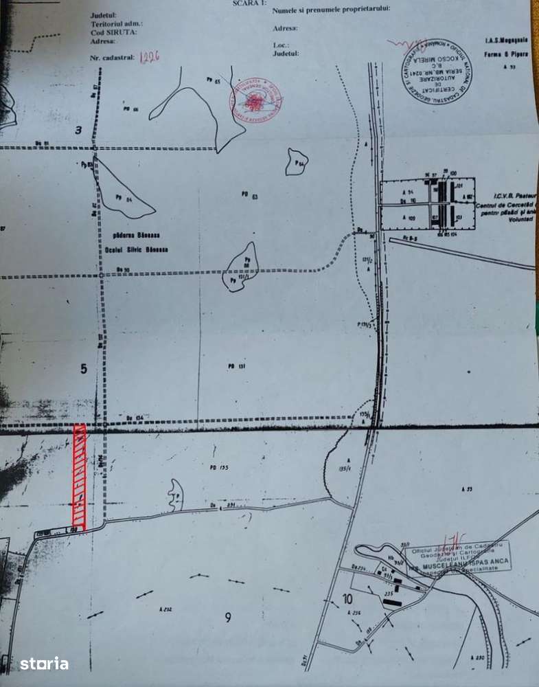 Teren Bucuresti 10.000mp padurea Baneasa - Imagine principală: 3/4