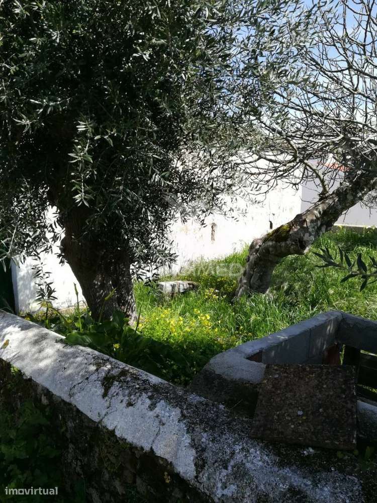 Monte Meira situado na Urra - Grande imagem: 4/4