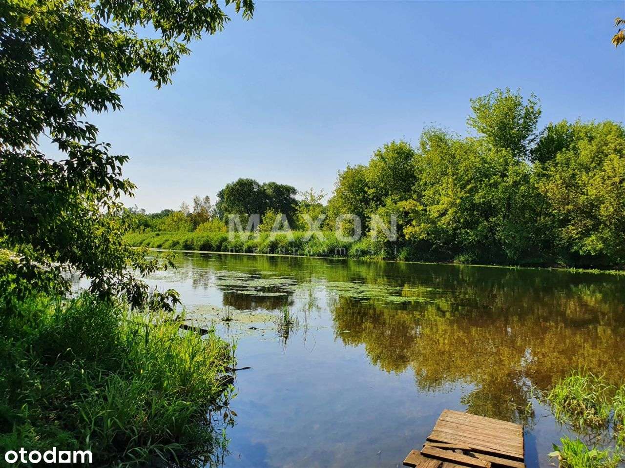 Działka | Wkra | Rekreacja | 60 km od Warszawy - Pełny obrazek: 5/13