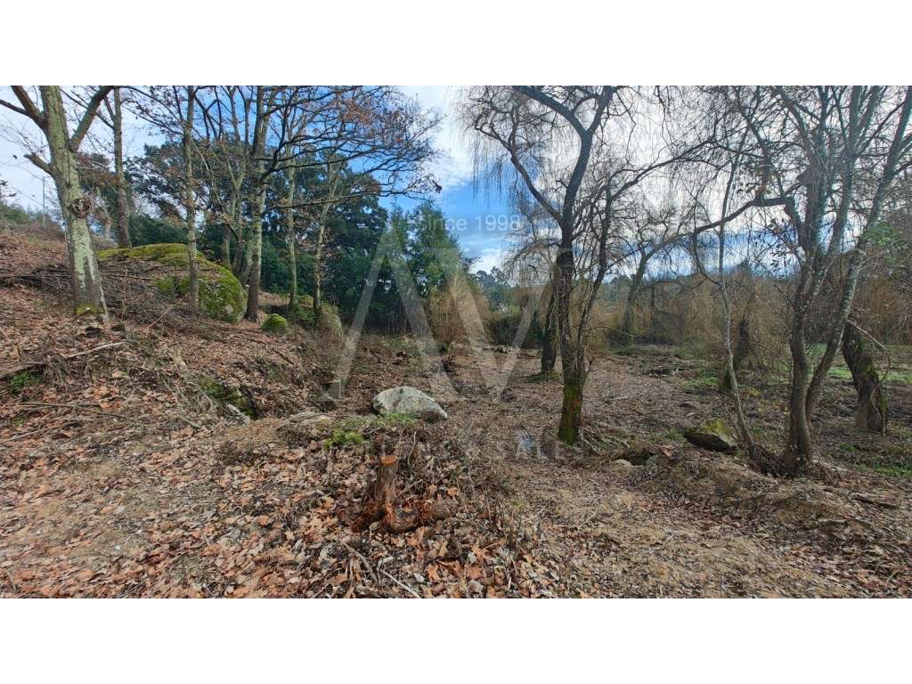 Terreno para construção - SANTA COMBA DÃO | LEILÃO ELETRÓNICO | FIM... - Grande imagem: 5/7