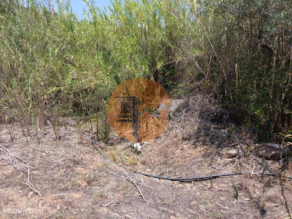 TERRENO COM 1.360 M2 - JUNTO A ALMADA D OURO EM CASTRO MARIM - ALGARVE - Grande imagem: 4/21