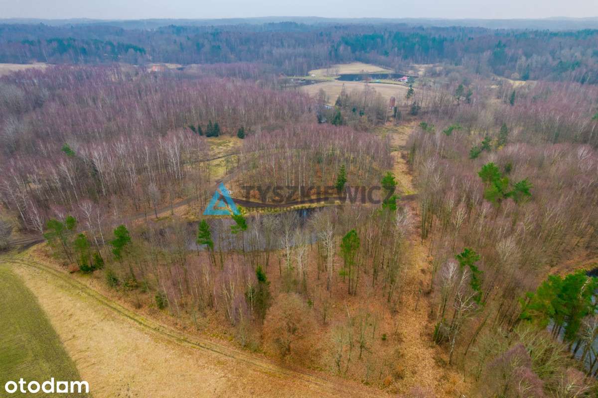 Urokliwa działka z malowniczym stawem - Pełny obrazek: 4/7