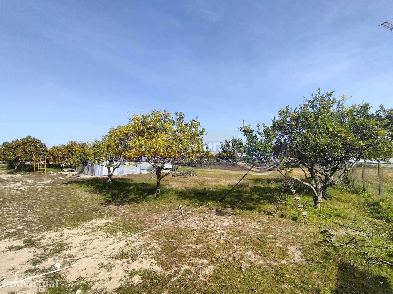 Terreno em Benavente (B446) - Grande imagem: 3/9