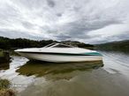 Campion mercruiser - 2