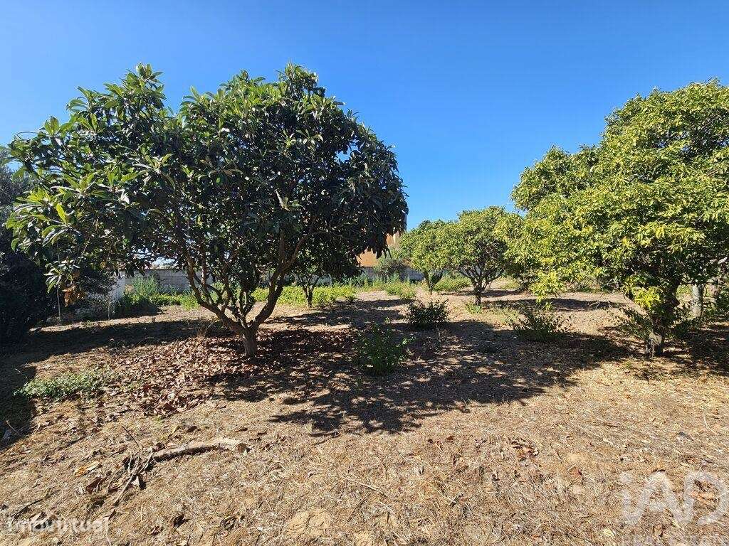 Terreno em Palmela de 1590,00 m2 - Grande imagem: 2/5