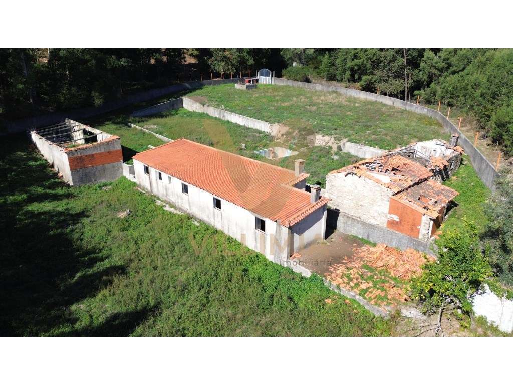 Propriedade com 2 Casas Antigas junto ao Caminho Português de Santi... - Grande imagem: 4/15
