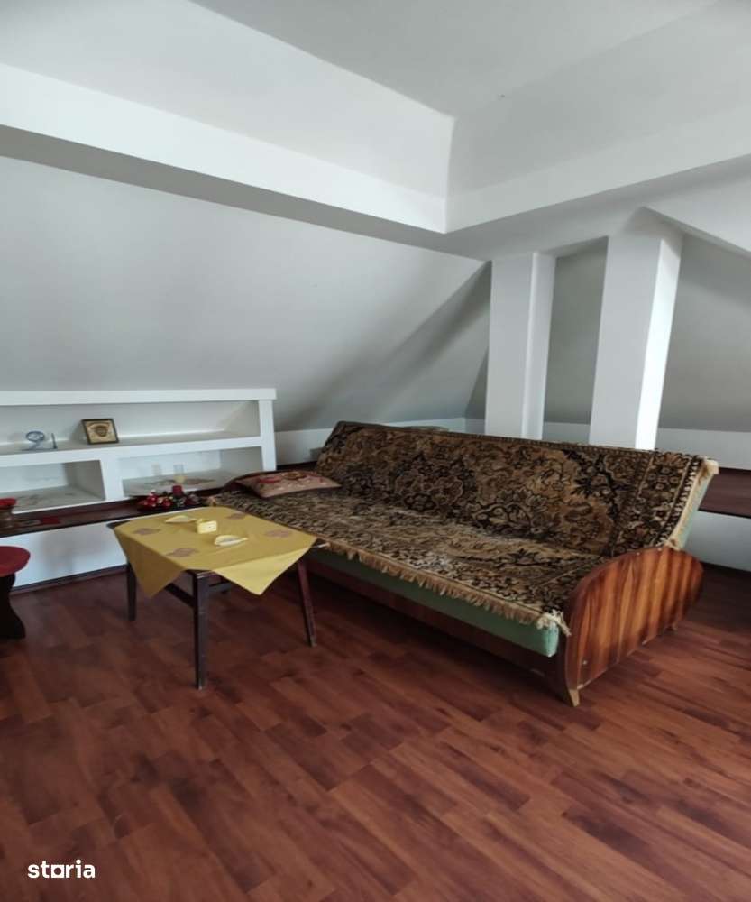 De vanzare casa in Baia De Cris-Brad - Imagine principală: 5/19