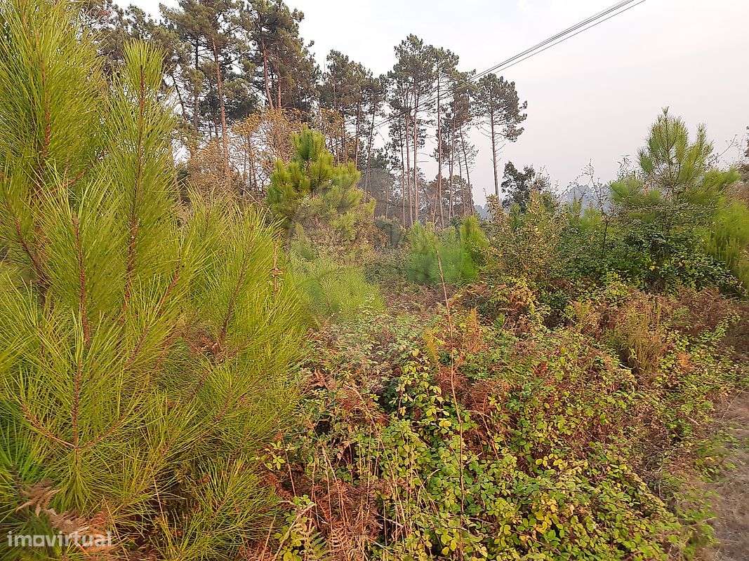 Terreno  para venda - Grande imagem: 5/7