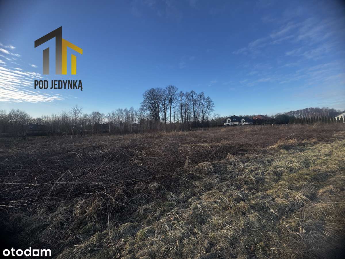 Duża działka budowlana – Łódź, Teofilów! - Pełny obrazek: 1/6