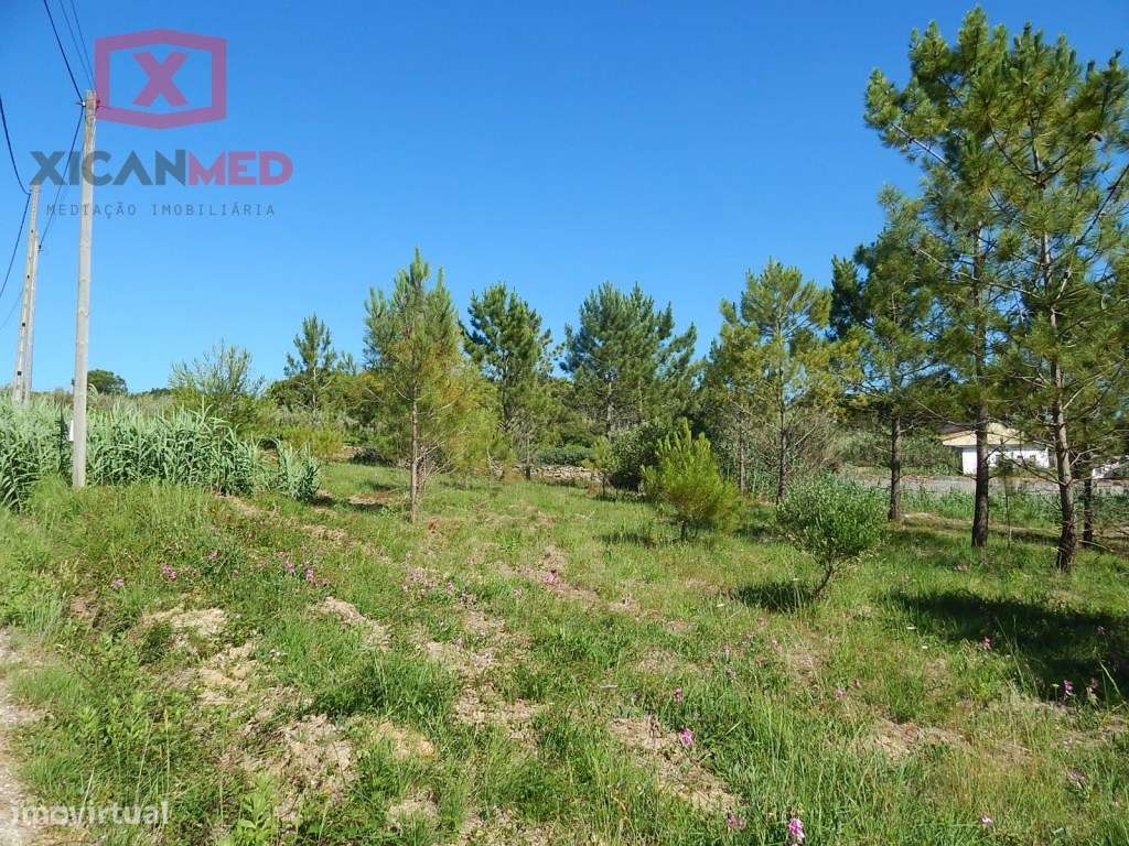 Colares - Grande imagem: 2/16