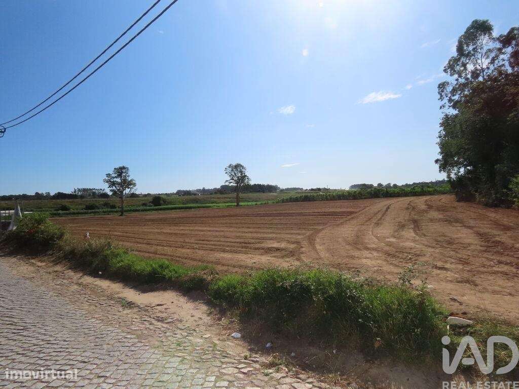 Terreno para construção em Aveleda de 21000,00 m2 - Grande imagem: 3/30