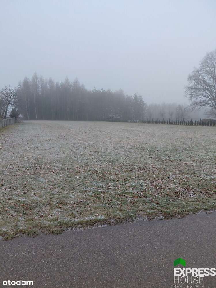 Działka 2824 m2 w Anielinie k. Łasku - Pełny obrazek: 5/9