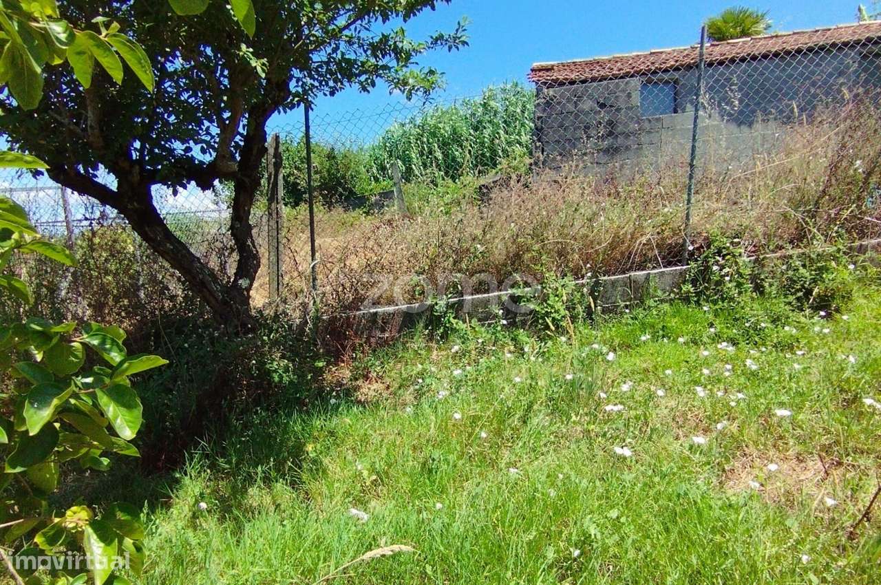 Terreno Almagreira-8