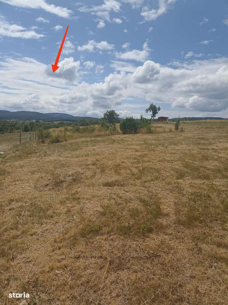 De vânzare teren extravilan în Valea Crisului - Imagine principală: 5/7