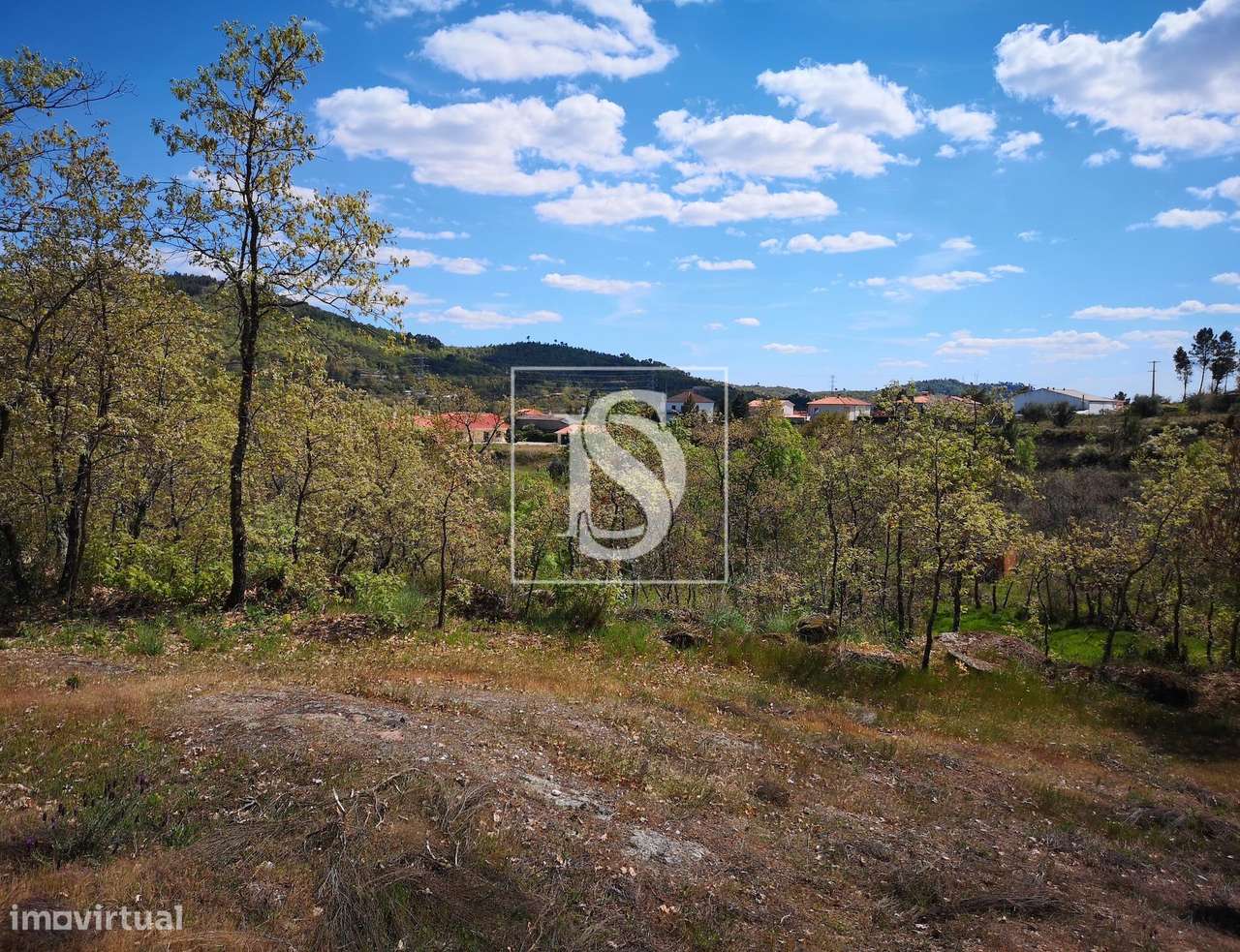 Terreno  Venda em Maçainhas,Belmonte-4