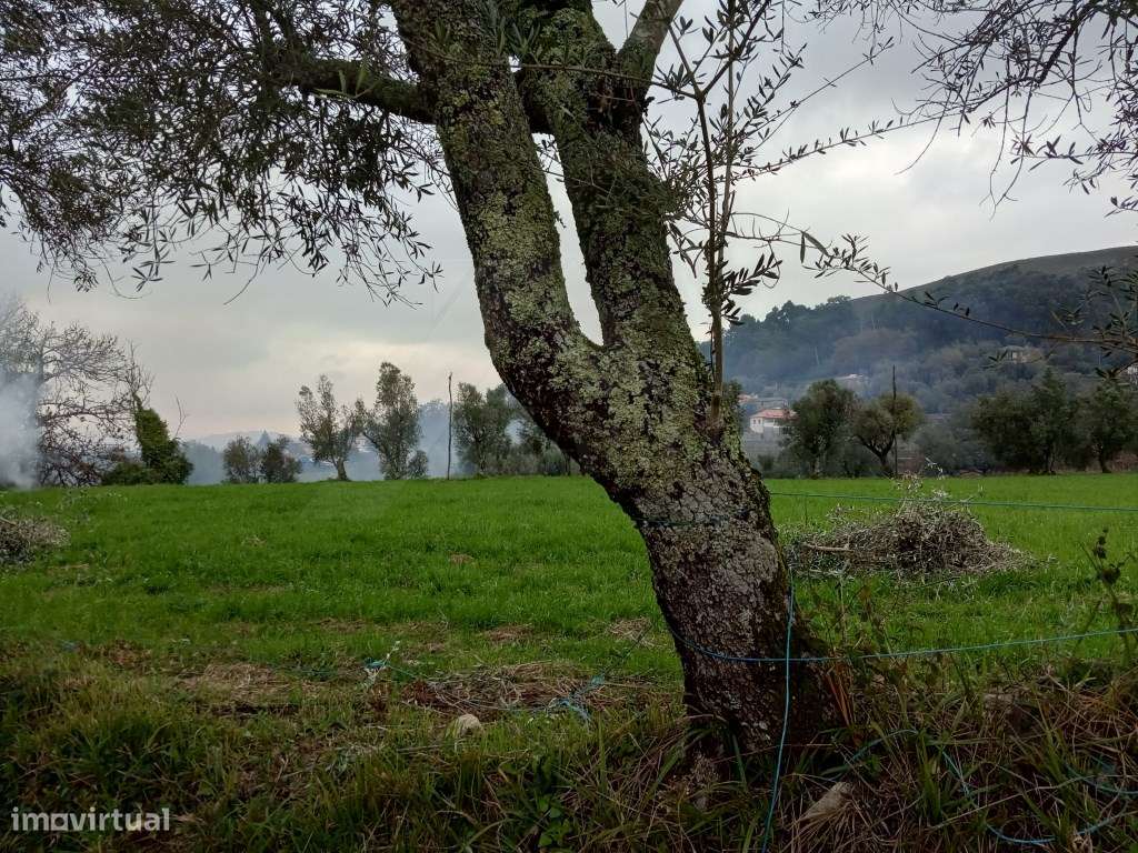 Terreno c/ possibilidade de construção em Serdedelo - Grande imagem: 5/6